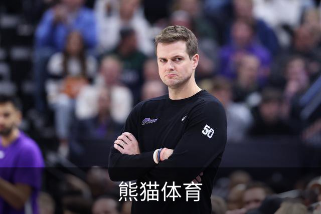 熊猫体育公司简介图片